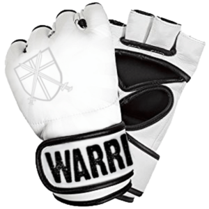 MMA Gloves